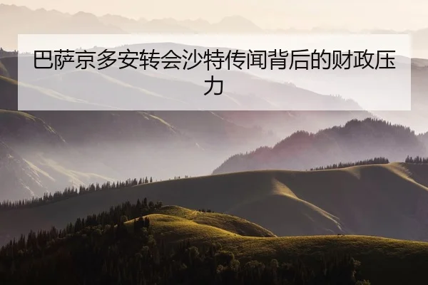 ba-sa-jing-duo-an-zhuan-hui-sha-te-chuan-wen-bei-hou-de-cai-zheng-ya-li-2-416.jpg