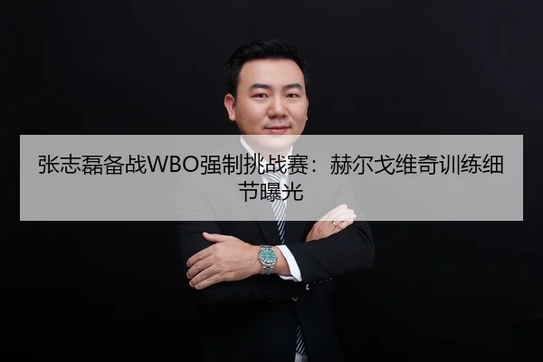 张志磊备战WBO强制挑战赛：赫尔戈维奇训练细节曝光