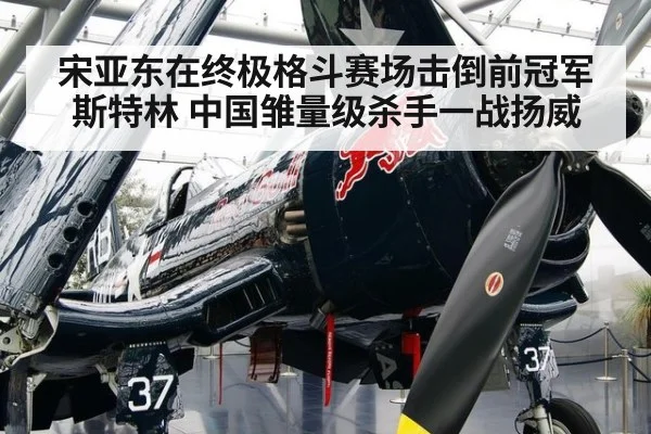 宋亚东在终极格斗赛场击倒前冠军斯特林 中国雏量级杀手一战扬威
